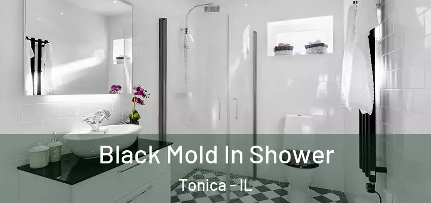  Black Mold In Shower Tonica - IL