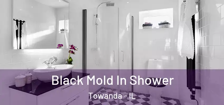  Black Mold In Shower Towanda - IL