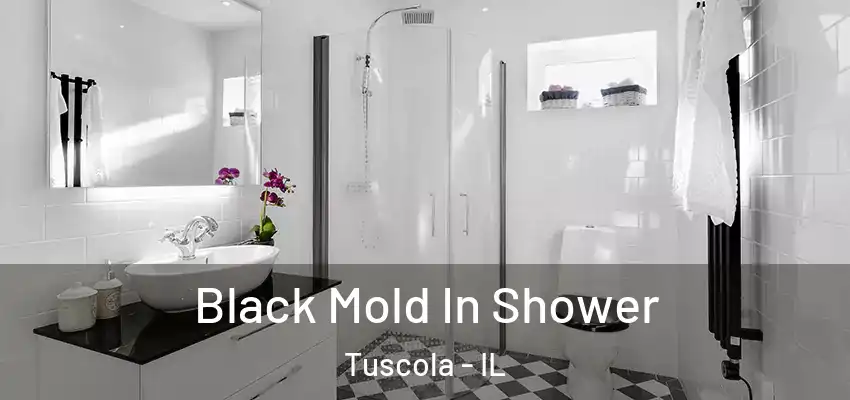  Black Mold In Shower Tuscola - IL