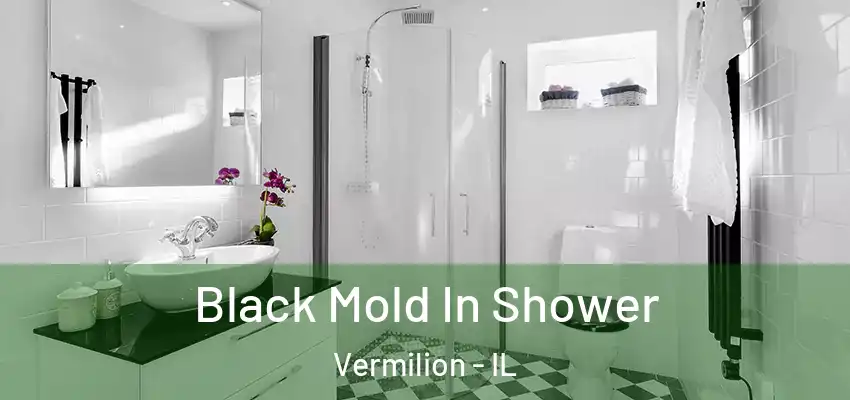  Black Mold In Shower Vermilion - IL