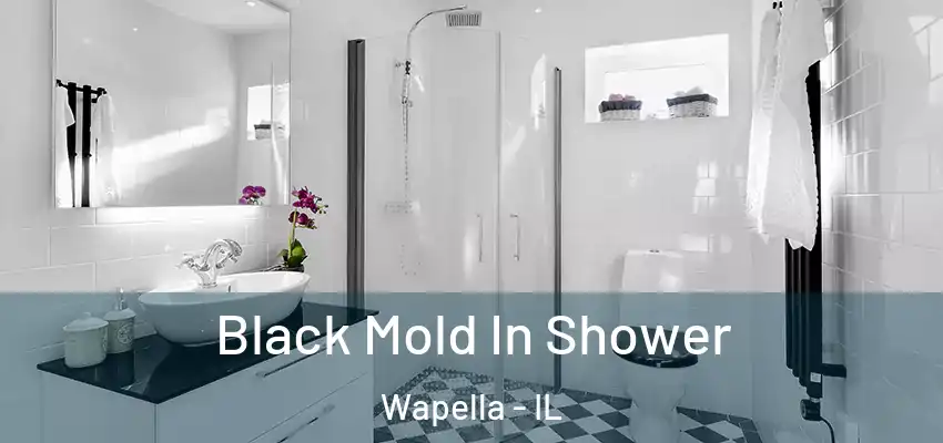  Black Mold In Shower Wapella - IL