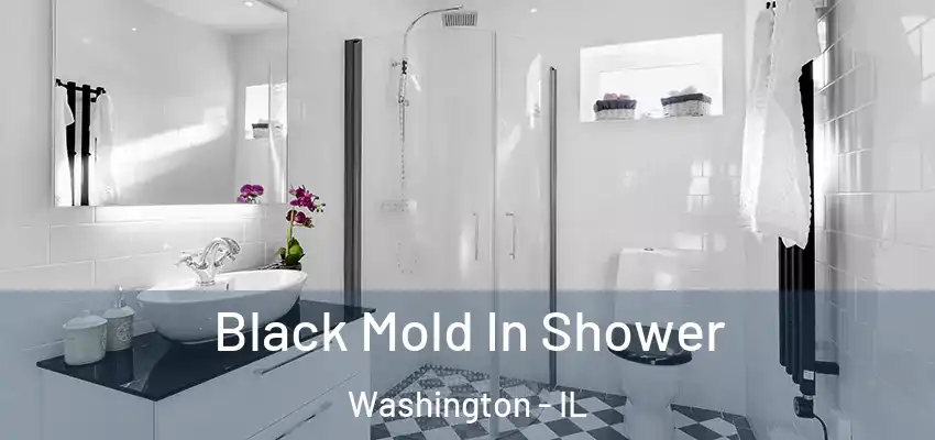 Black Mold In Shower Washington - IL