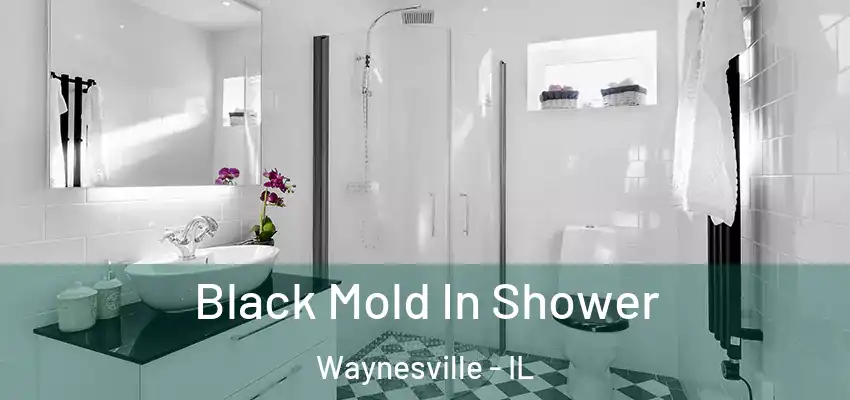 Black Mold In Shower Waynesville - IL
