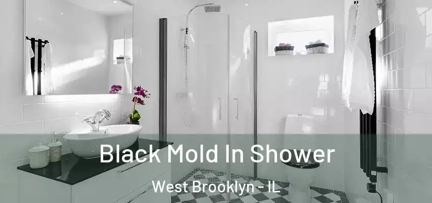  Black Mold In Shower West Brooklyn - IL