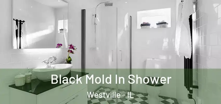  Black Mold In Shower Westville - IL