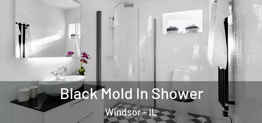 Black Mold In Shower Windsor - IL