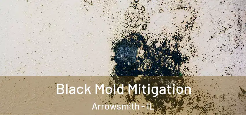  Black Mold Mitigation Arrowsmith - IL