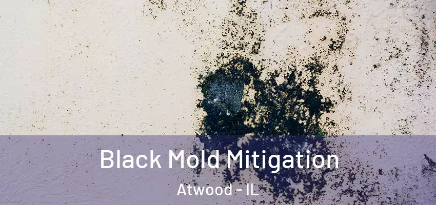  Black Mold Mitigation Atwood - IL