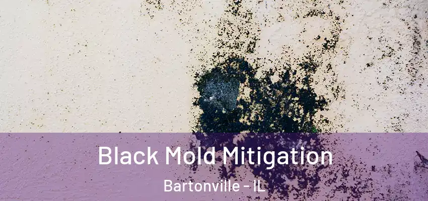  Black Mold Mitigation Bartonville - IL