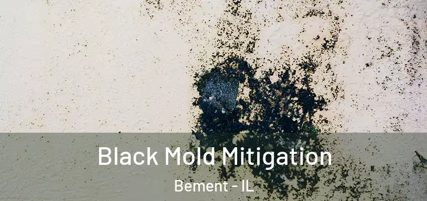  Black Mold Mitigation Bement - IL