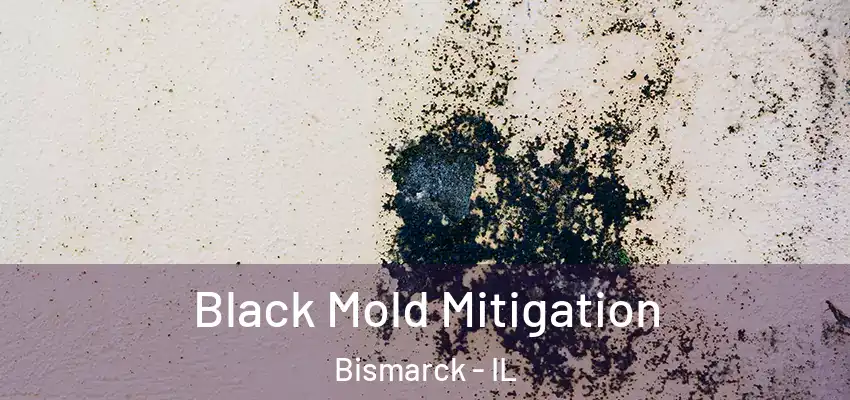Black Mold Mitigation Bismarck - IL