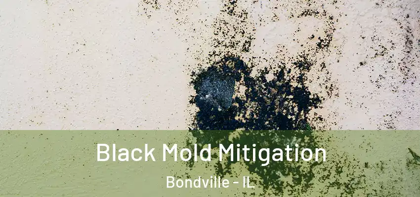  Black Mold Mitigation Bondville - IL