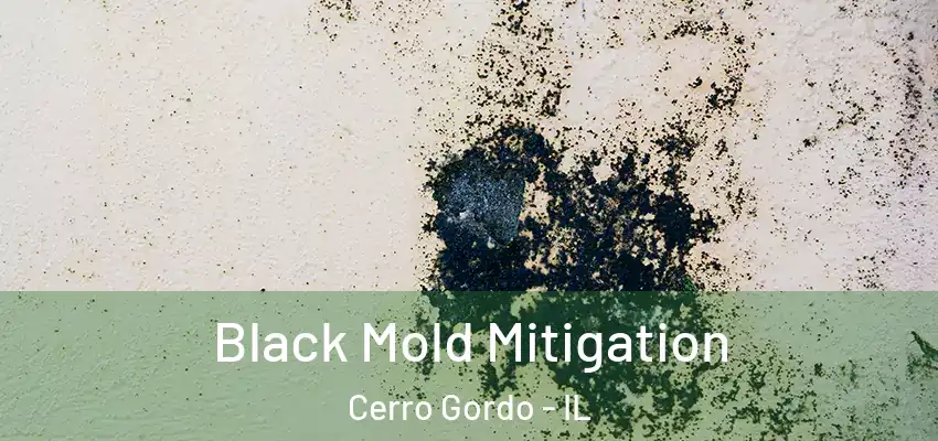  Black Mold Mitigation Cerro Gordo - IL