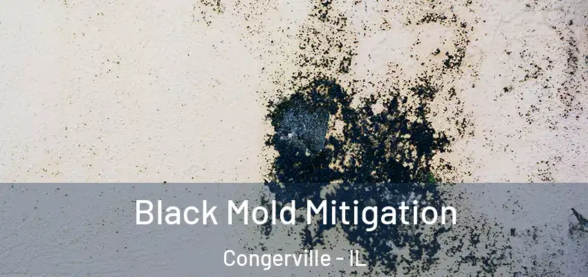  Black Mold Mitigation Congerville - IL