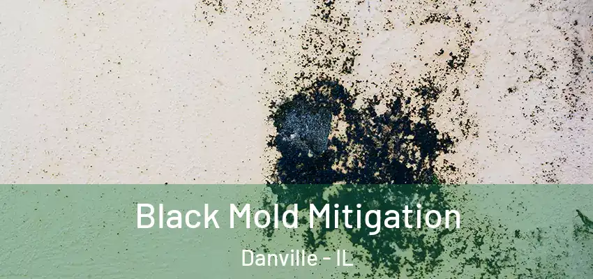  Black Mold Mitigation Danville - IL
