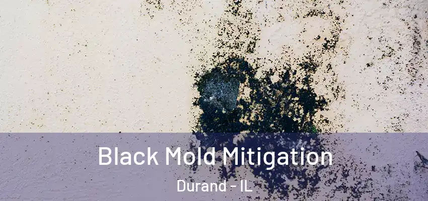 Black Mold Mitigation Durand - IL