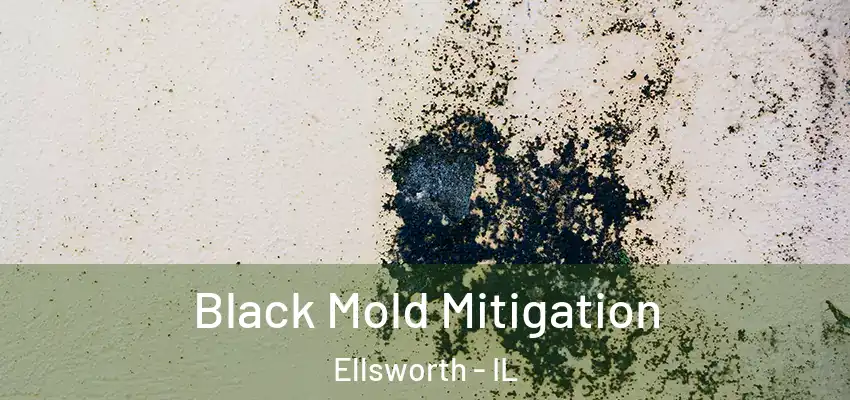 Black Mold Mitigation Ellsworth - IL