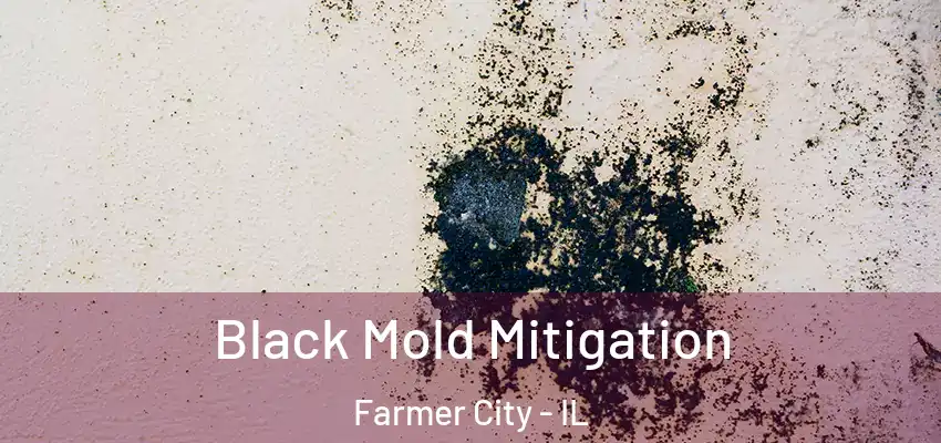  Black Mold Mitigation Farmer City - IL