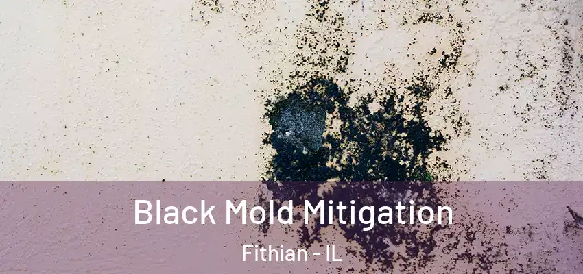  Black Mold Mitigation Fithian - IL
