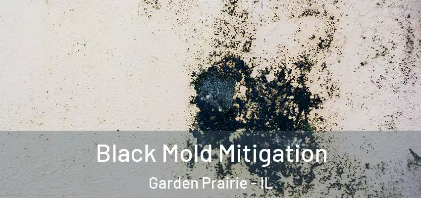  Black Mold Mitigation Garden Prairie - IL