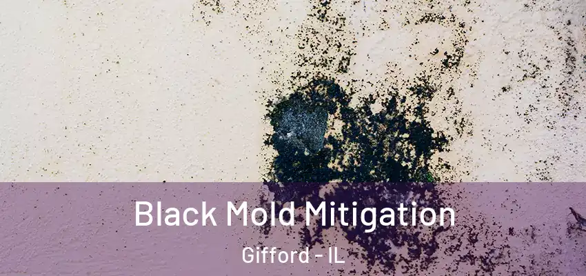 Black Mold Mitigation Gifford - IL
