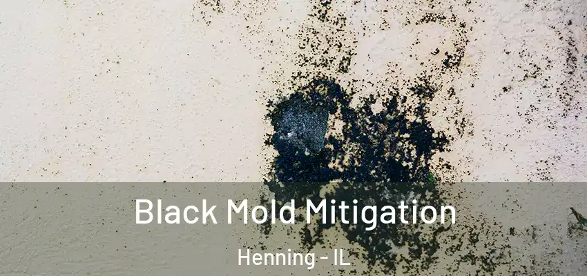  Black Mold Mitigation Henning - IL