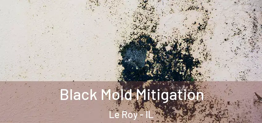Black Mold Mitigation Le Roy - IL