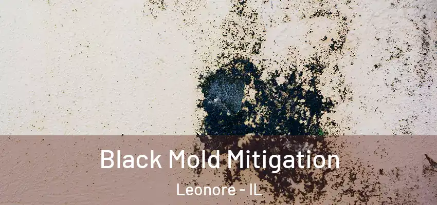  Black Mold Mitigation Leonore - IL
