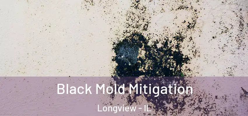  Black Mold Mitigation Longview - IL