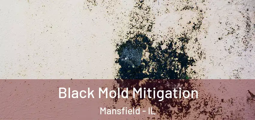  Black Mold Mitigation Mansfield - IL