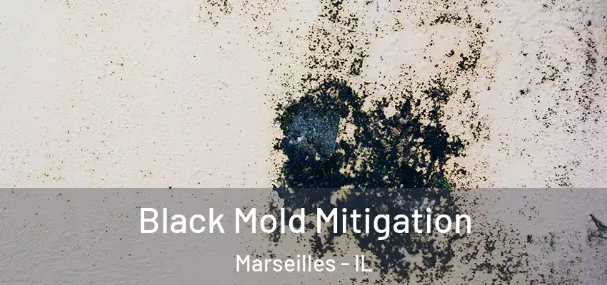  Black Mold Mitigation Marseilles - IL