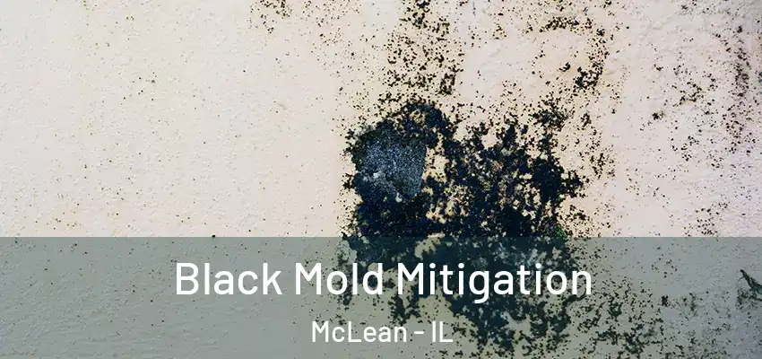  Black Mold Mitigation McLean - IL