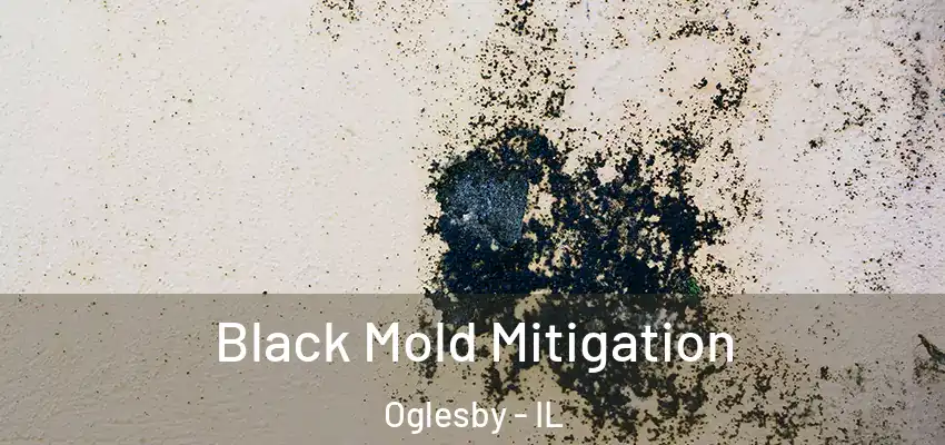 Black Mold Mitigation Oglesby - IL