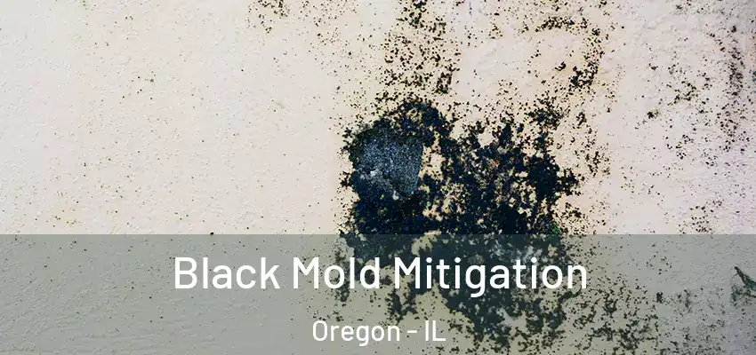  Black Mold Mitigation Oregon - IL