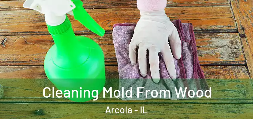  Cleaning Mold From Wood Arcola - IL