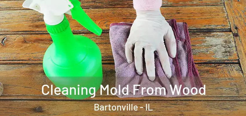  Cleaning Mold From Wood Bartonville - IL