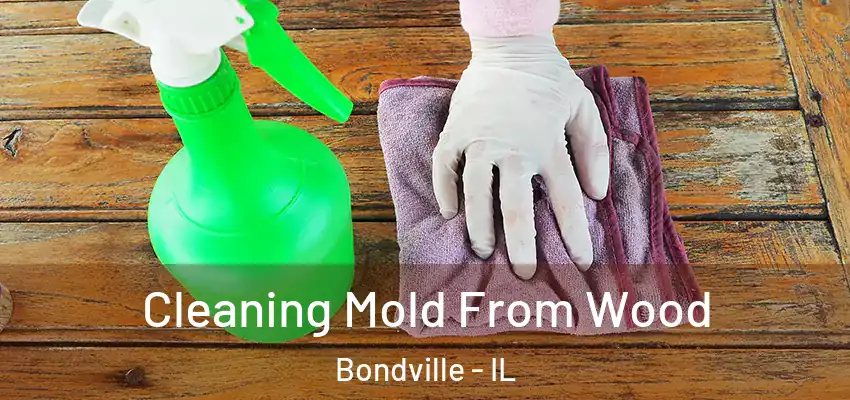  Cleaning Mold From Wood Bondville - IL