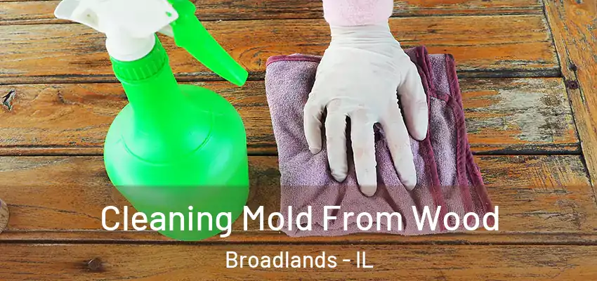  Cleaning Mold From Wood Broadlands - IL
