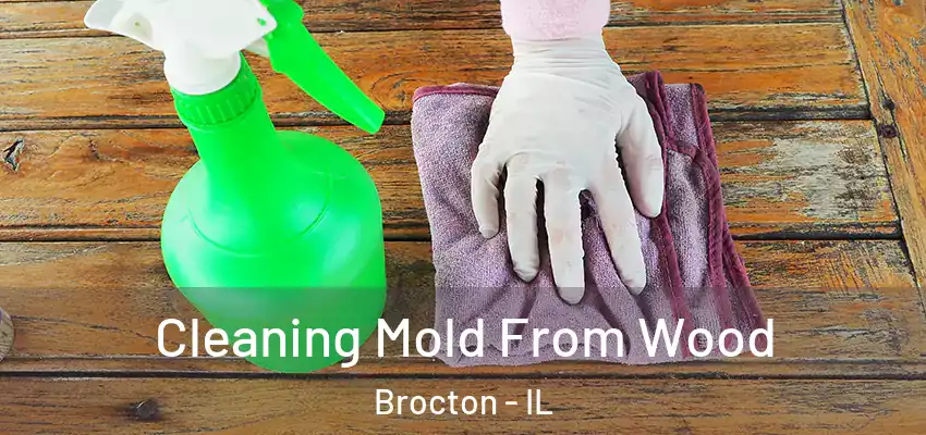  Cleaning Mold From Wood Brocton - IL