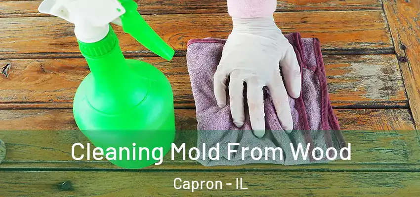  Cleaning Mold From Wood Capron - IL
