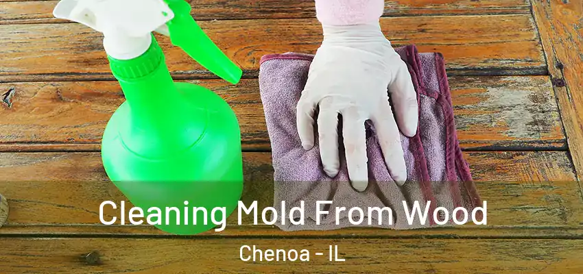  Cleaning Mold From Wood Chenoa - IL