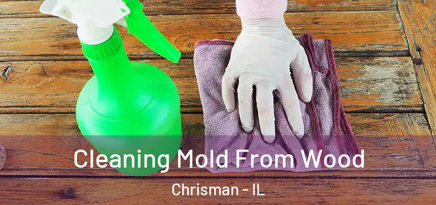 Cleaning Mold From Wood Chrisman - IL