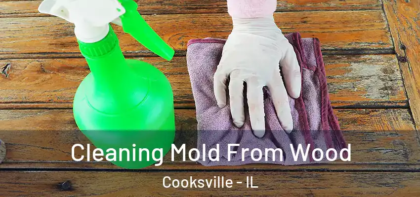  Cleaning Mold From Wood Cooksville - IL