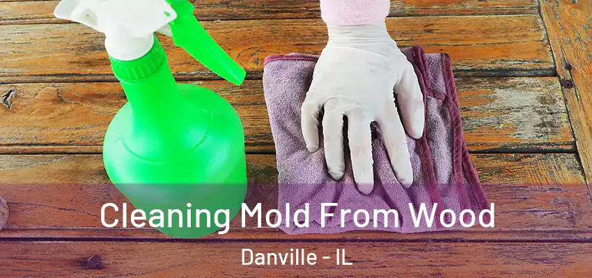  Cleaning Mold From Wood Danville - IL