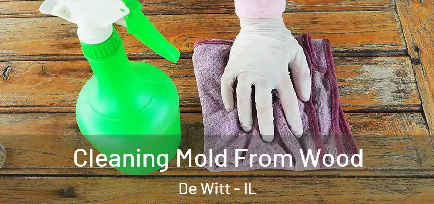  Cleaning Mold From Wood De Witt - IL
