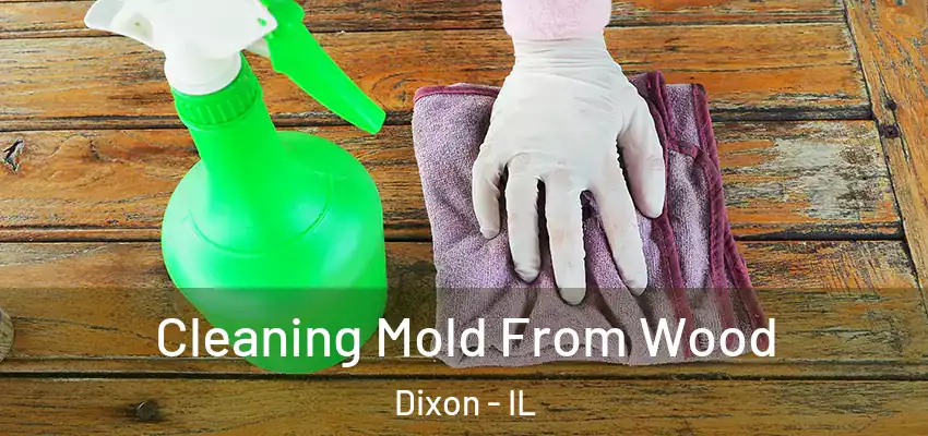 Cleaning Mold From Wood Dixon - IL
