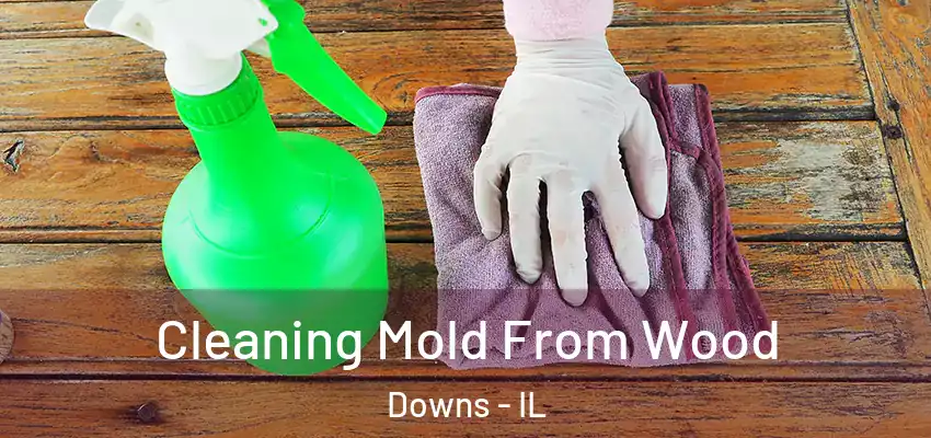  Cleaning Mold From Wood Downs - IL