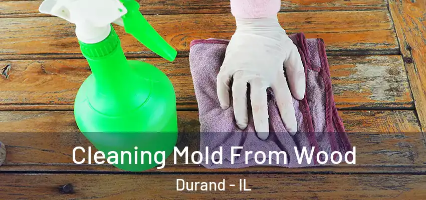  Cleaning Mold From Wood Durand - IL