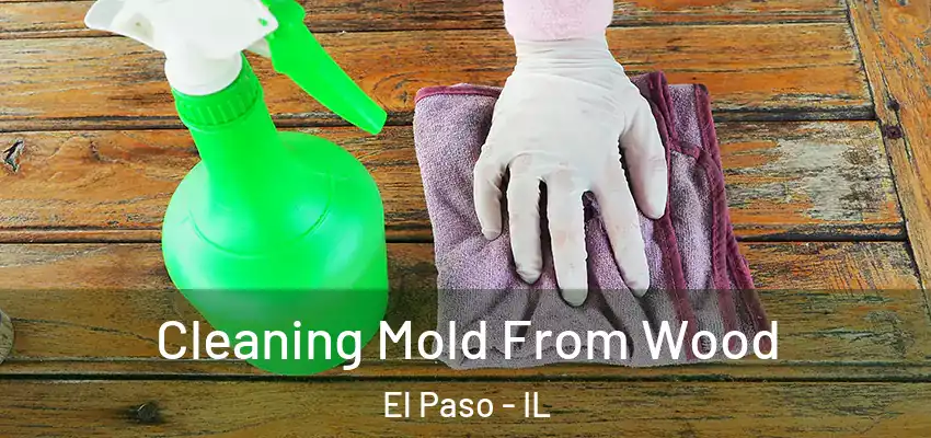  Cleaning Mold From Wood El Paso - IL