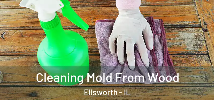  Cleaning Mold From Wood Ellsworth - IL